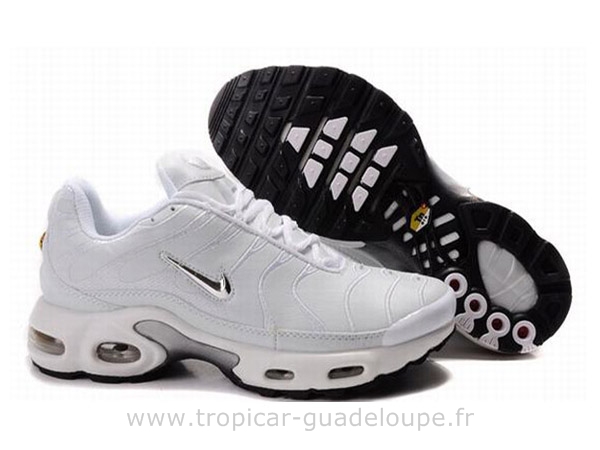 requins tn