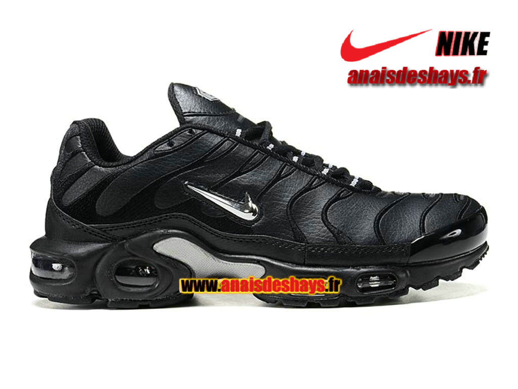 tn requins